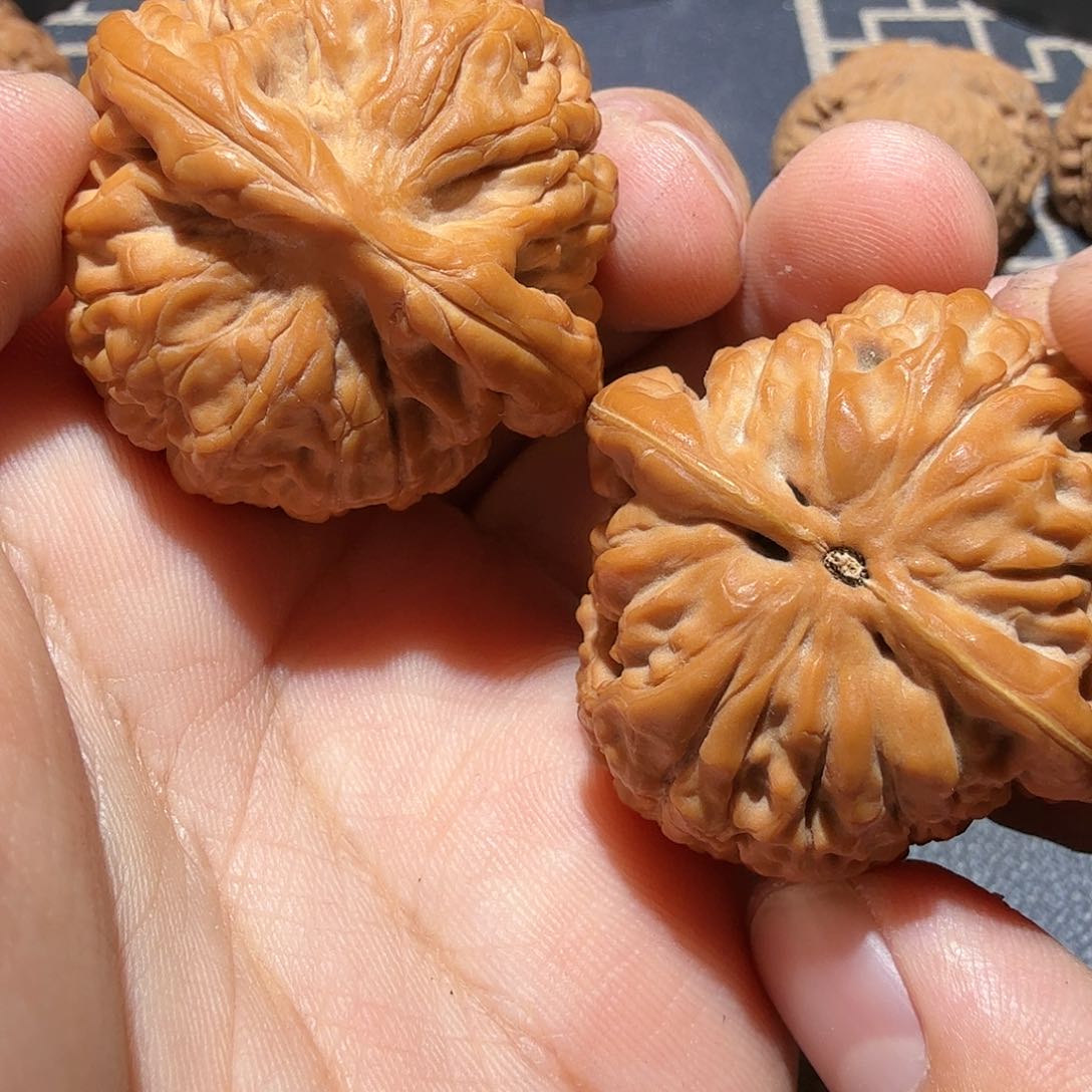 文玩核桃把件莲花