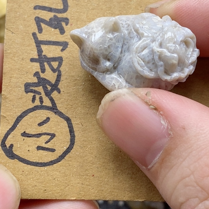 颈饰未镶嵌硅化珊瑚（珊瑚玉）