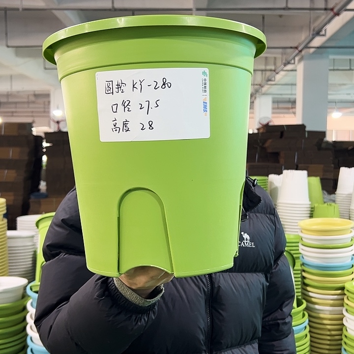 正品圆控口27高28果绿无托5只