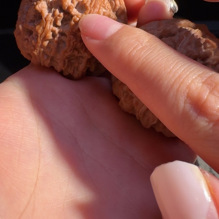 文玩核桃吊坠咯*哒23678900000