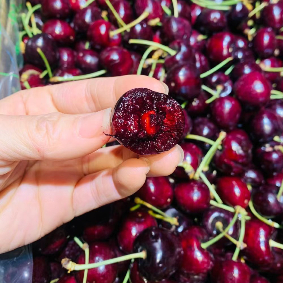  桑提娜空运1J中果车厘子包甜新 鲜水果同城小时达 G其他品种桑提娜智利