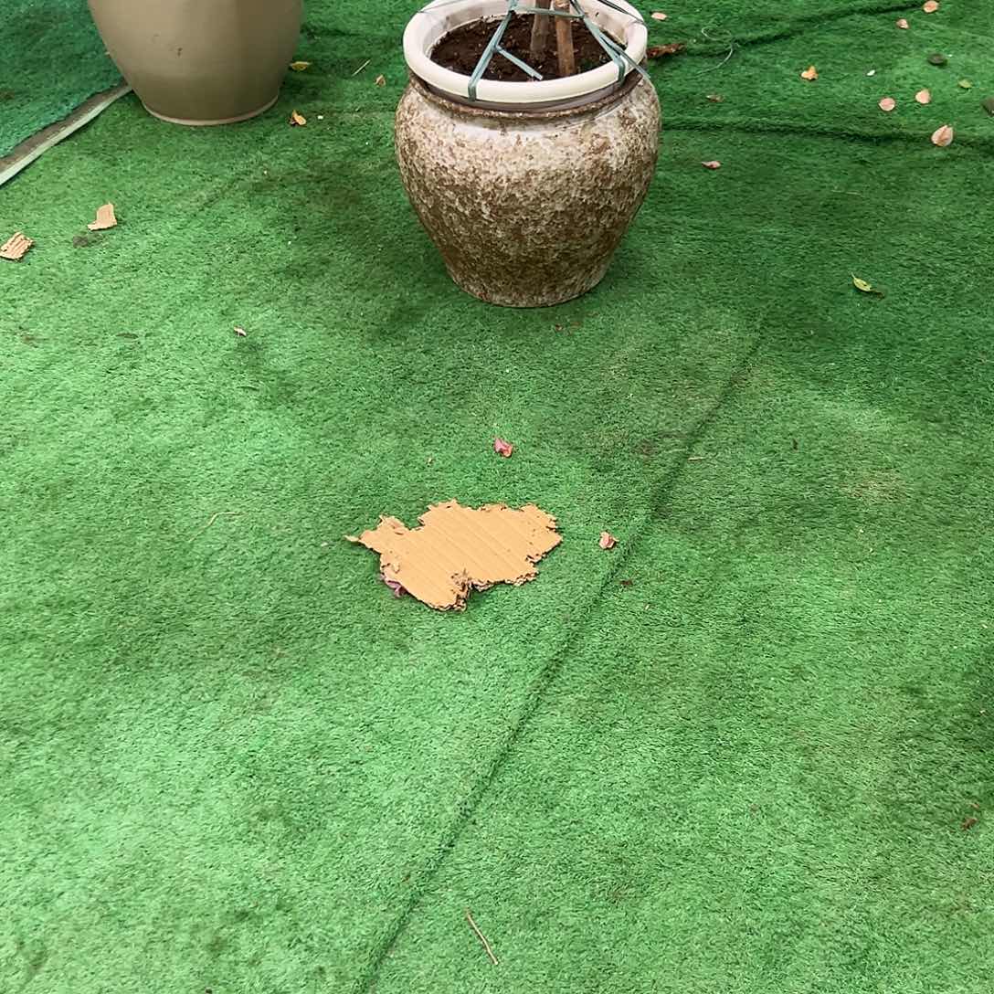 萍***萍完全开放三22222222