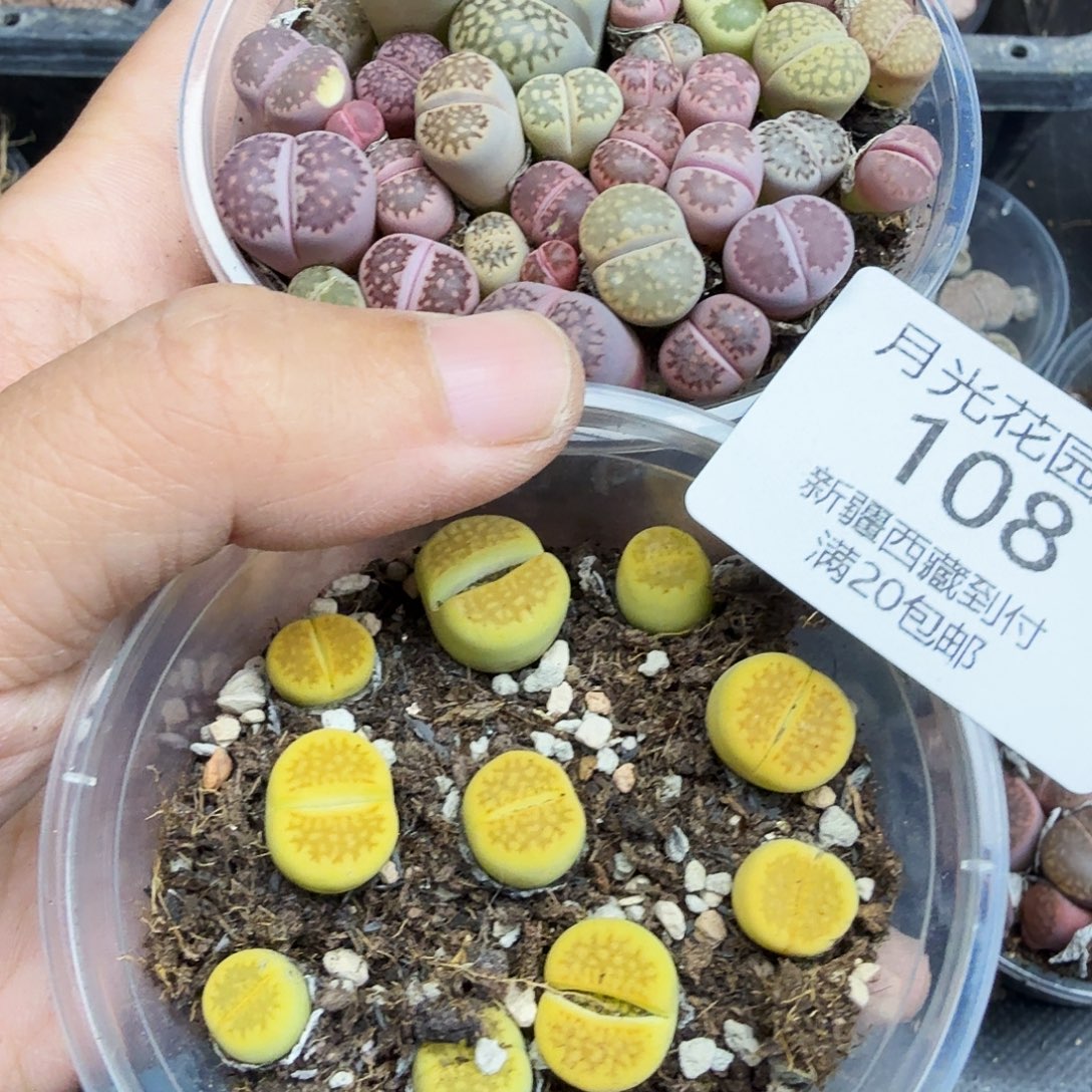 不用我送过去咯108这个