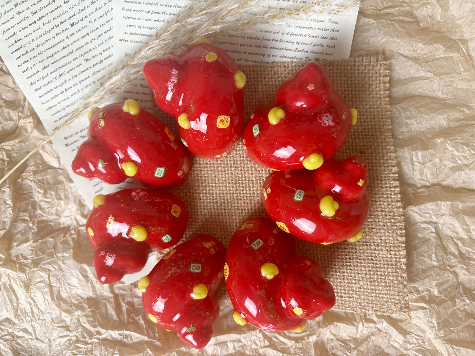 【宠粉福利】发财壳寄居蟹手工壳