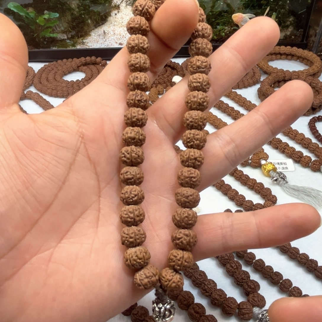 金刚菩提手串纯血老树王