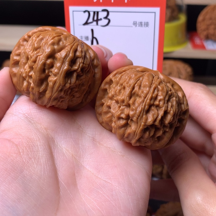 早***^核桃41白狮子243号