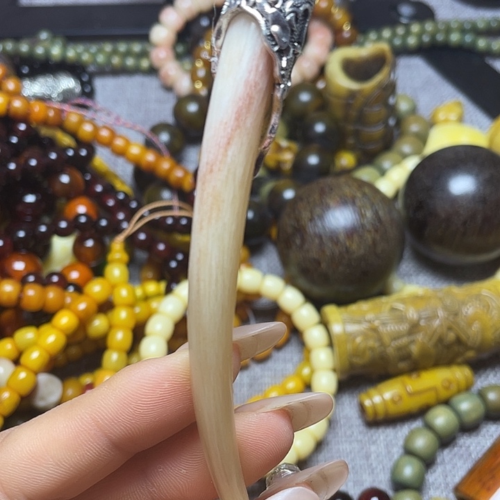 大果紫檀（缅甸花梨）