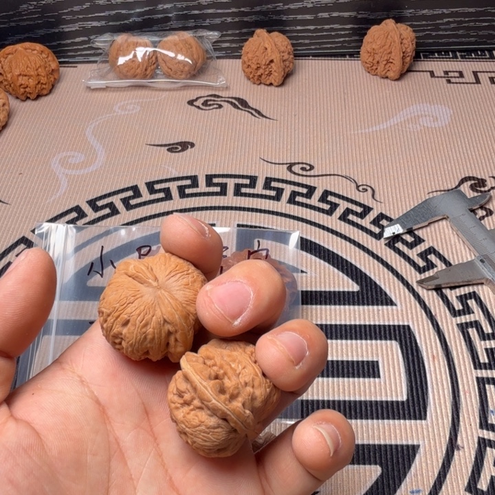 天***的大叶紫檀（黑酸枝木类）
