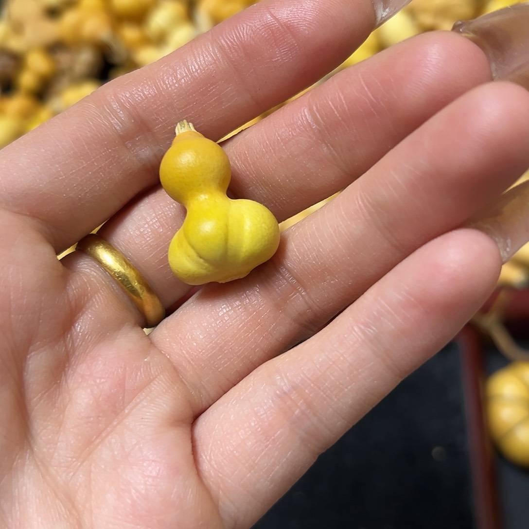 是****肉葫芦葫芦葫芦葫芦