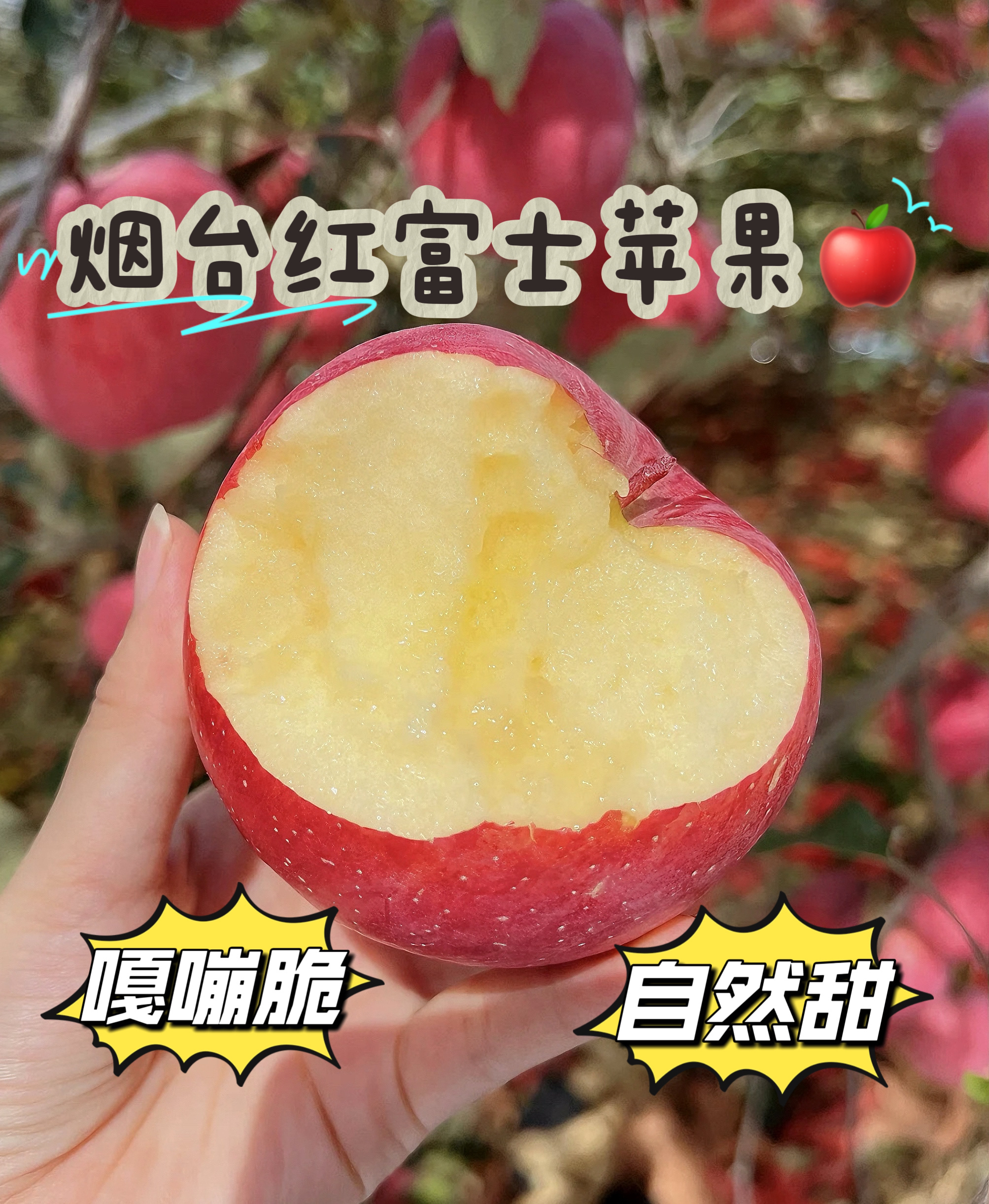 【坏果包赔】正宗山东烟台红富士苹果脆甜多汁苹果产地直发新鲜水果