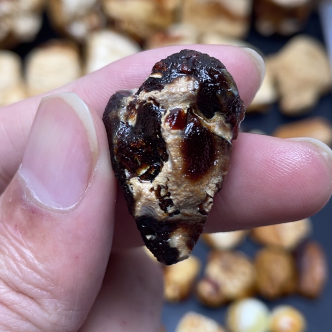 定制琥珀未镶嵌定制