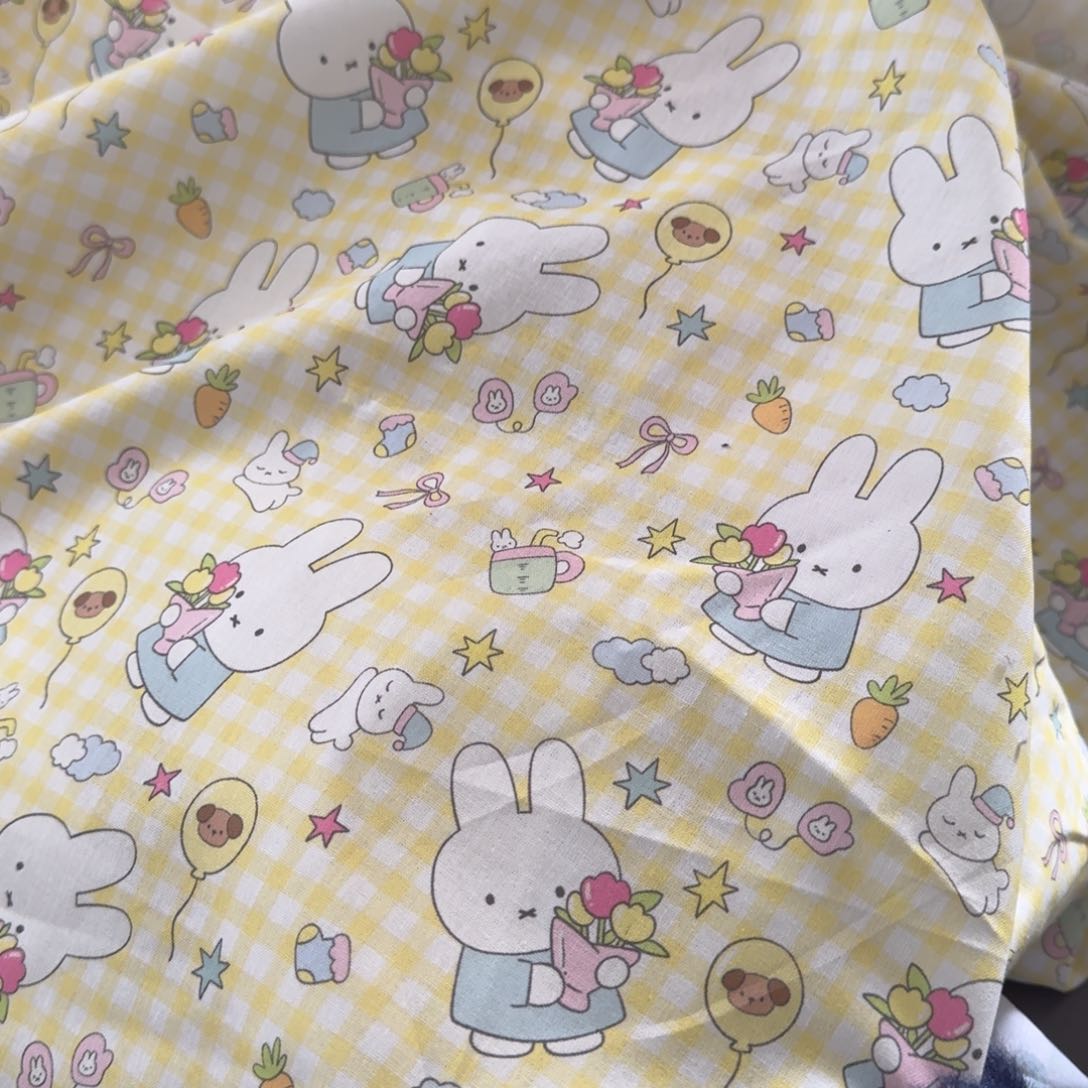 棉新款纯棉平布1米价X1.1米宽F