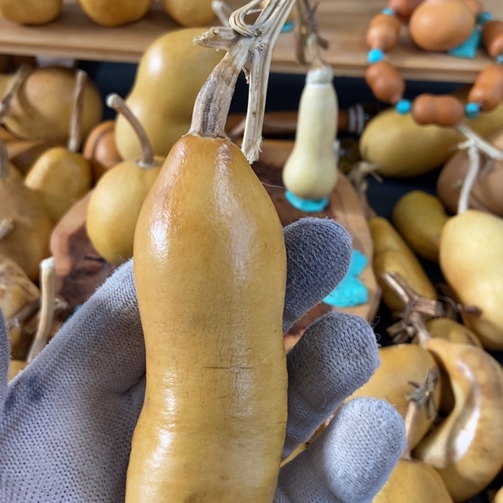 老**玩葫芦葫芦真的