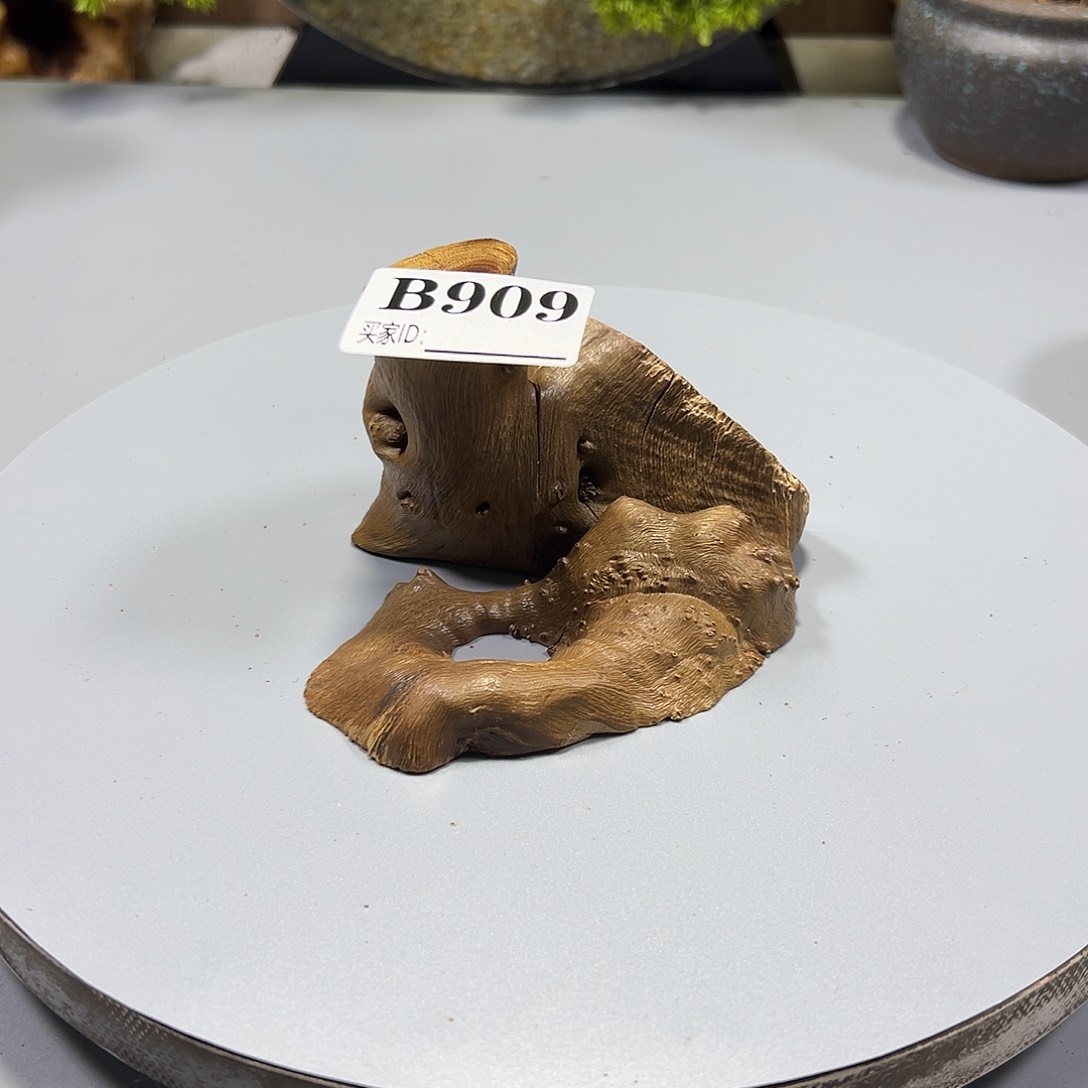 大果紫檀（缅甸花梨）用****1