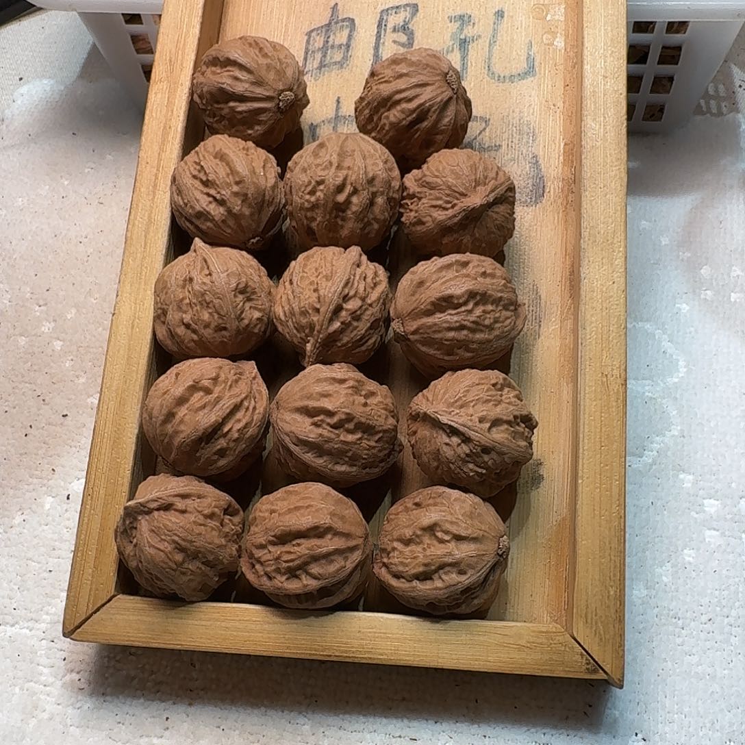 核桃手串/手链113号边26手串