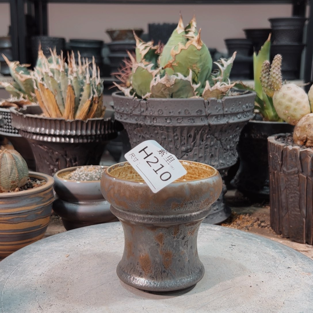 景德镇手工素里内口8.5高9.5