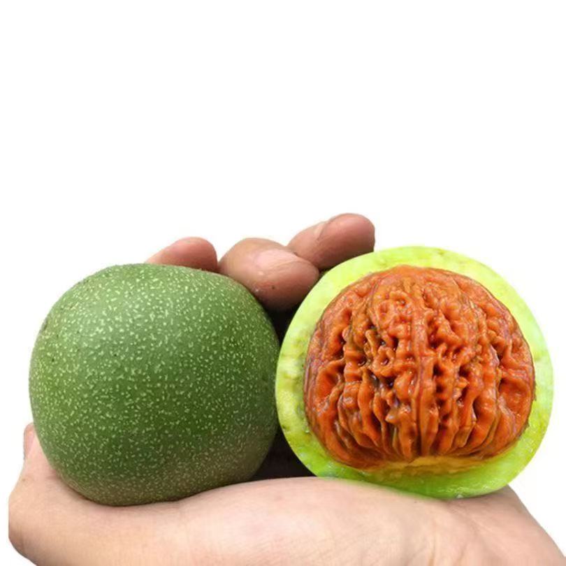 定制文玩核桃定制文玩核桃