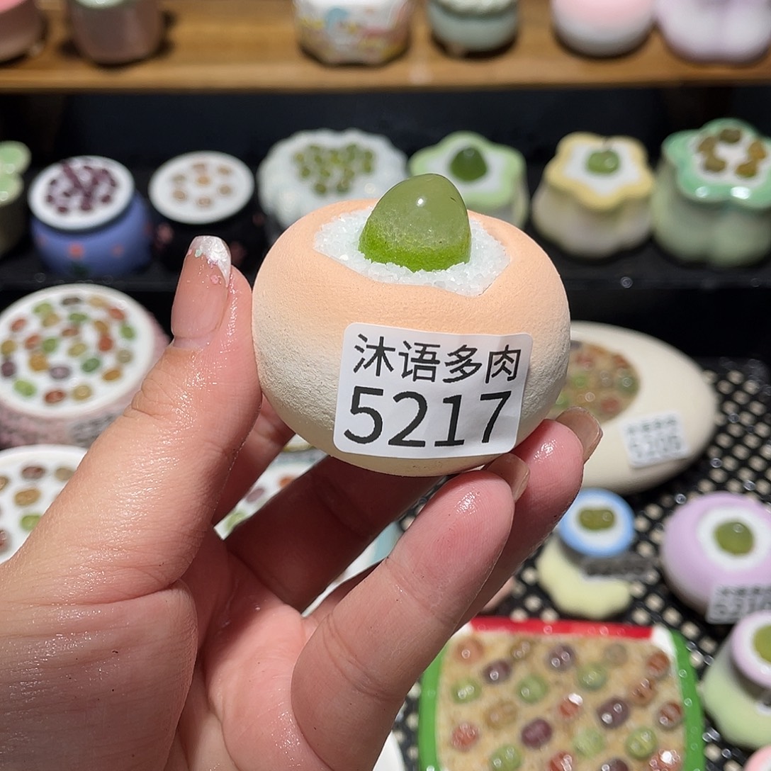 带盆土植物 一物一拍5217