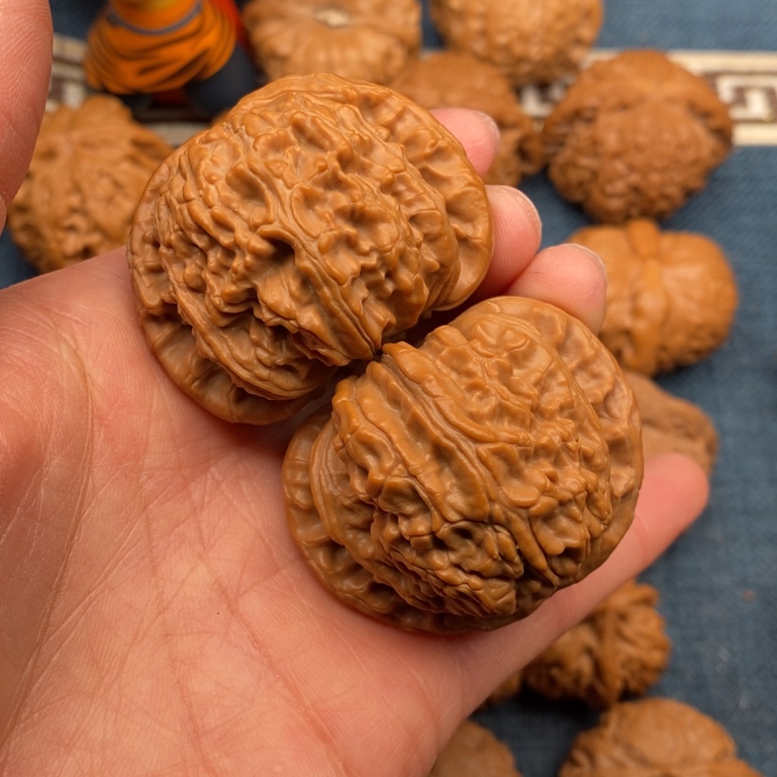 文玩核桃把件45.5粗筋大球白