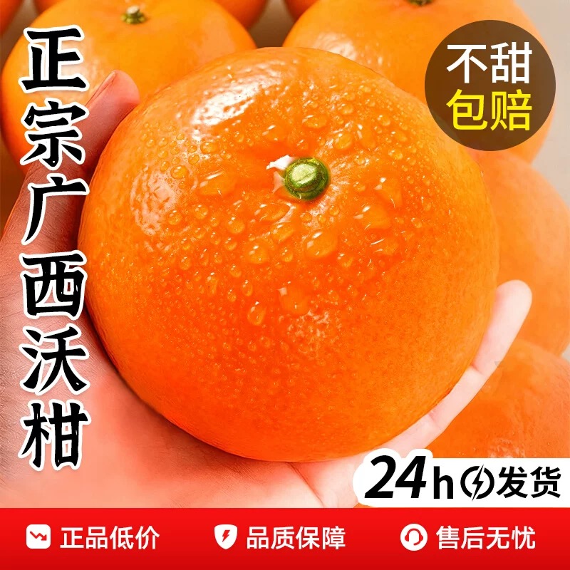 广西沃柑新鲜水果当季整箱时令现摘柑橘桔子橘
