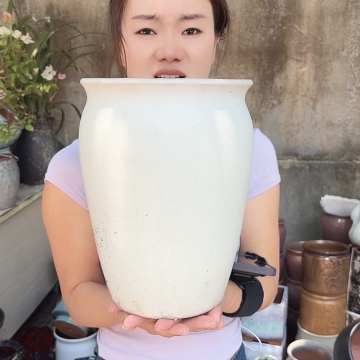 口径20高25.5一个白武
