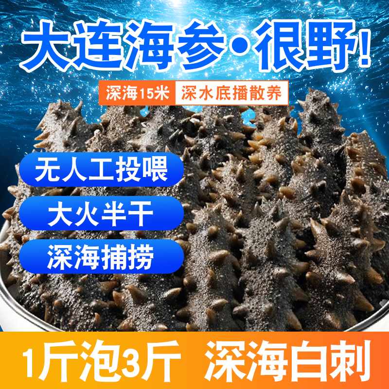 大连辽刺参深海拉缸盐海参[42-48头左右/500g]顺丰包邮