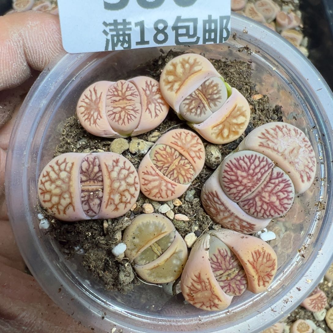 【闪购商品】 380。  