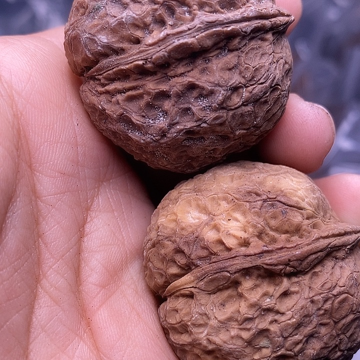 把件文玩核桃   120