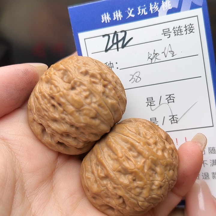 文玩核桃吊坠核桃树242