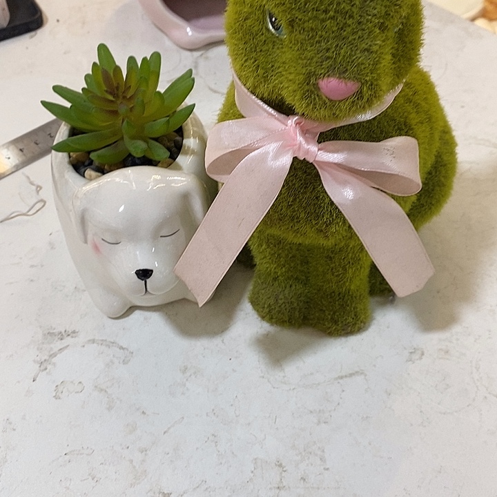 瓷片陶瓷微瑕介意慎拍