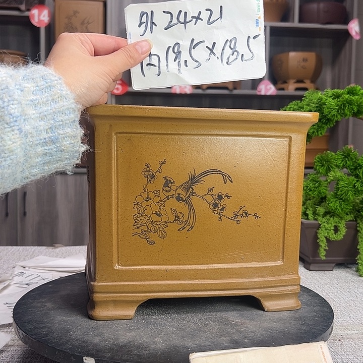 花盆紫砂紫砂第一