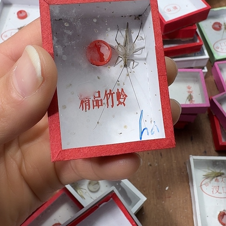 用***7蟋蟀222222222222222