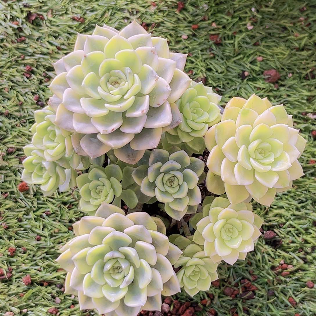 21号1211212222222222