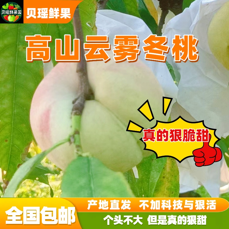 （普通包邮）湖南怀化麻阳高山冬桃果农自卖现摘清甜无酸纯甜脆桃