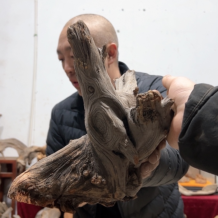 柏木G我们的生活也是如此吧