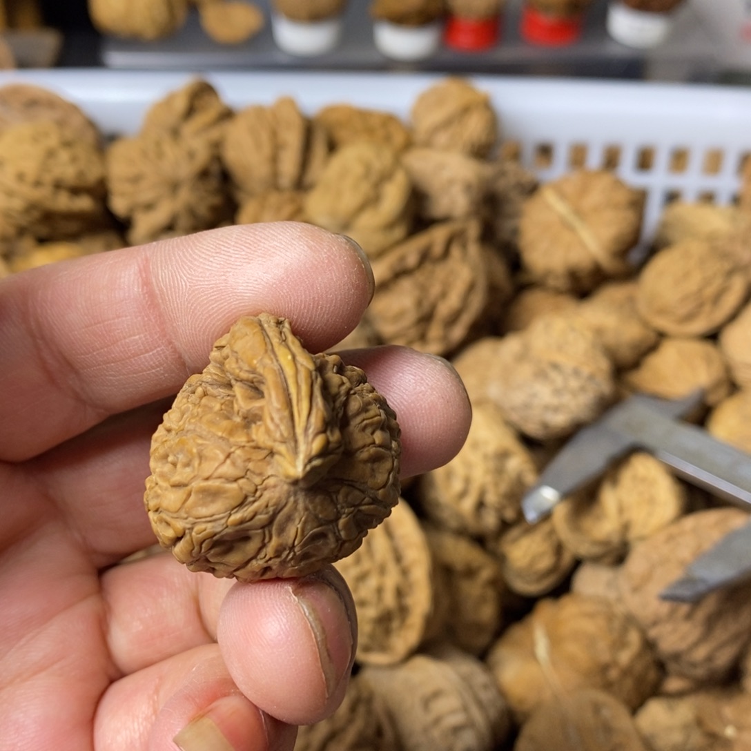 吸***质大叶紫檀（黑酸枝木类）