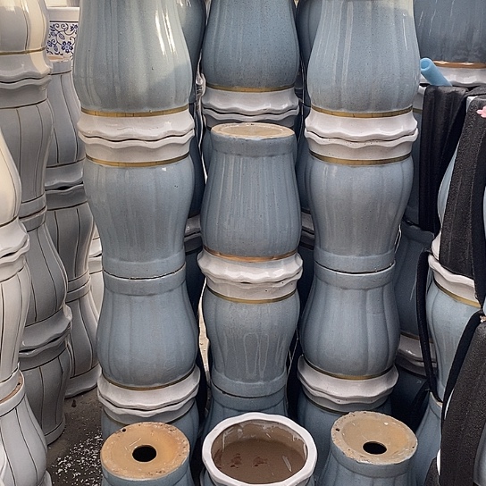 花口蓝南瓜中口25高32福利