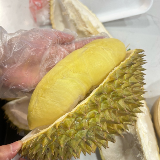 【直播专享价25.98/斤】泰国金枕榴莲 现称改价拍单 新鲜榴莲软糯香浓核小 单果5斤左右金枕泰国