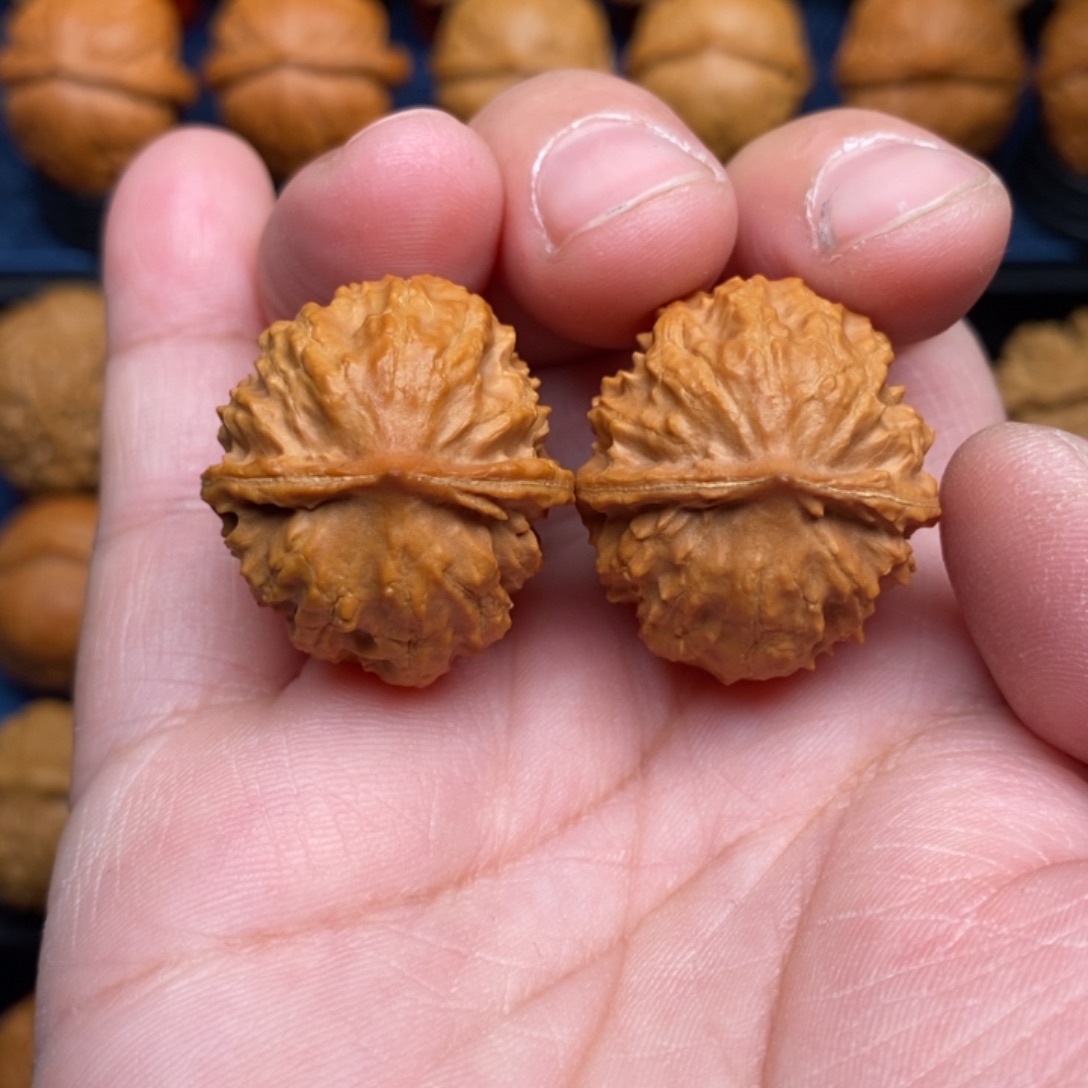 文玩核桃把件手捻粗筋