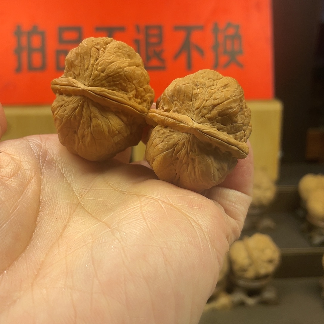 把件文玩核桃聚宝金蟾