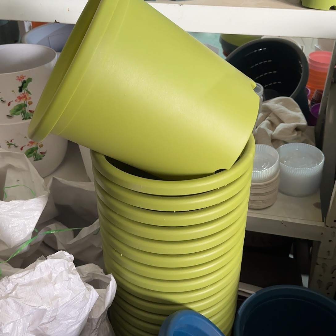 树脂微瑕7号6个无托，果绿