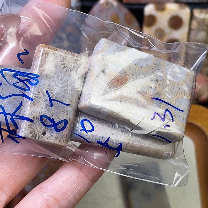 硅化珊瑚（珊瑚玉）珠宝金石合金林***风