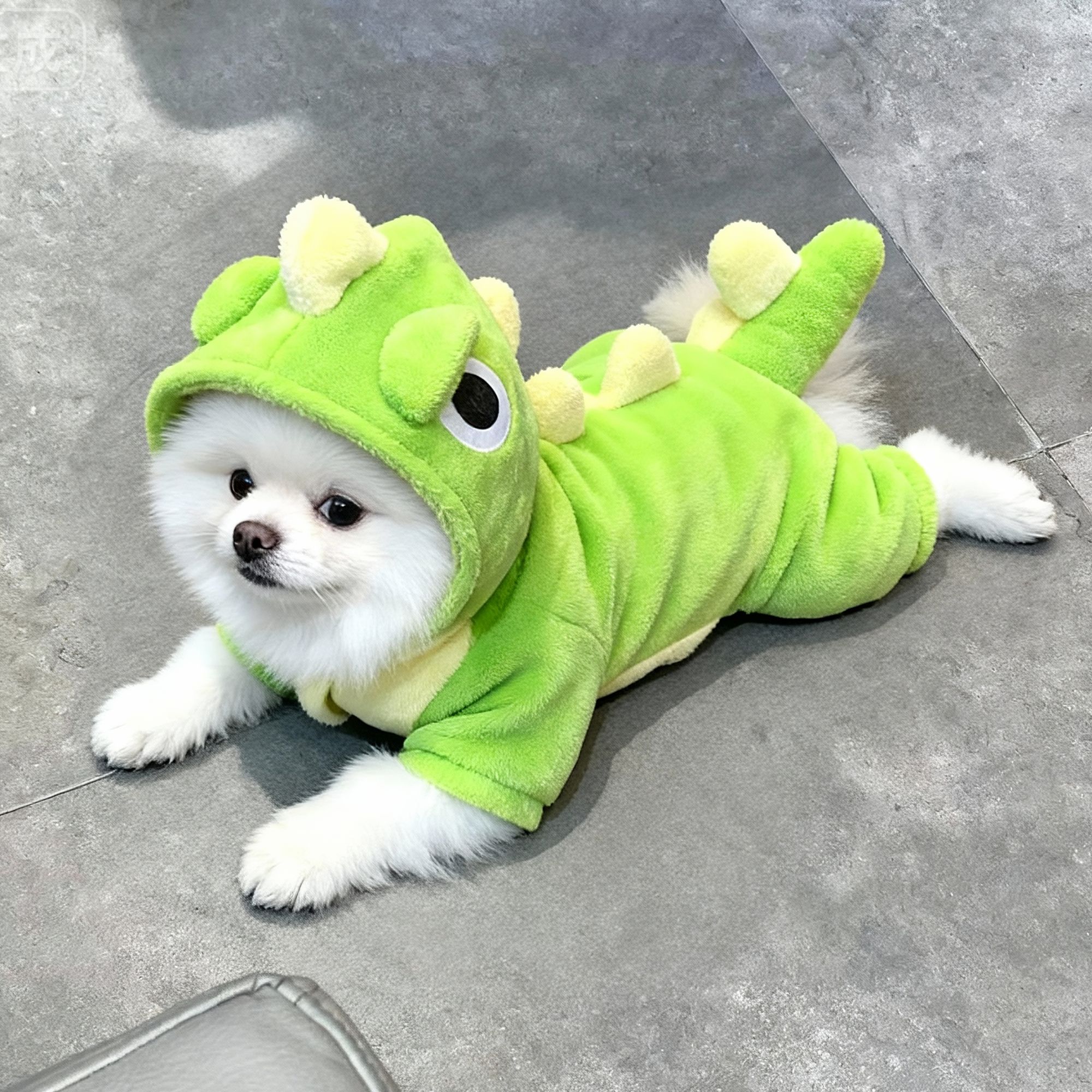 狗狗衣服可爱小恐龙变身装秋冬保暖法兰绒博美比熊泰迪小型犬衣服