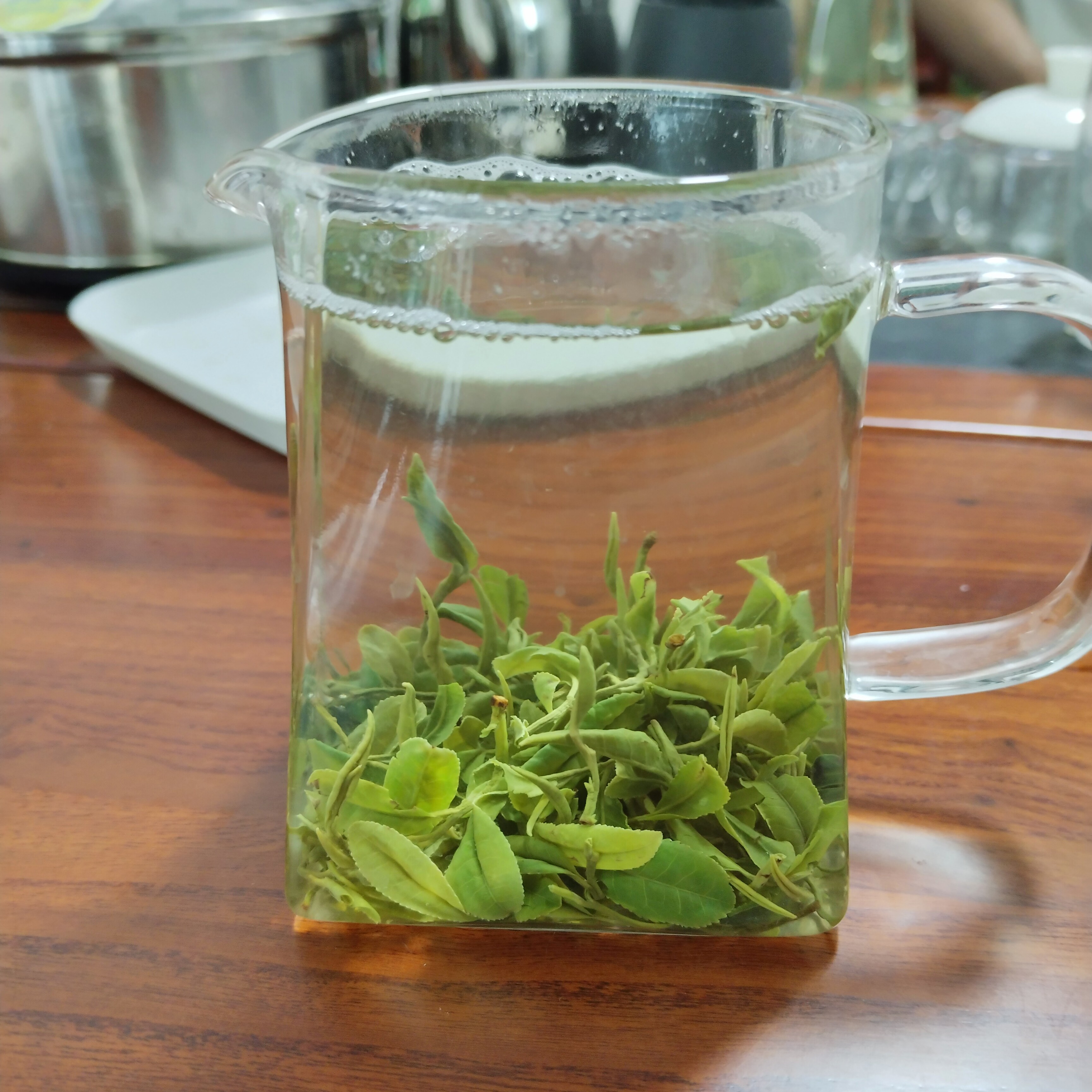 2025年日照绿茶新春茶头茬手工新春茶板栗鲜香豆鲜香炒青日照好茶