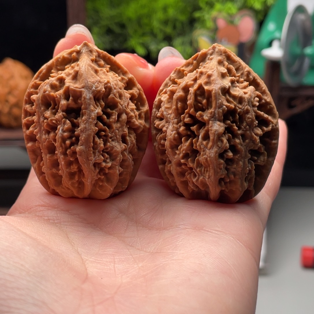 文玩核桃把件小楸千花皮42