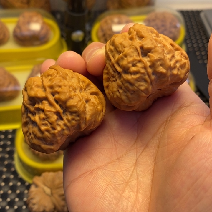 核桃手串/手链尺寸40山地蛙