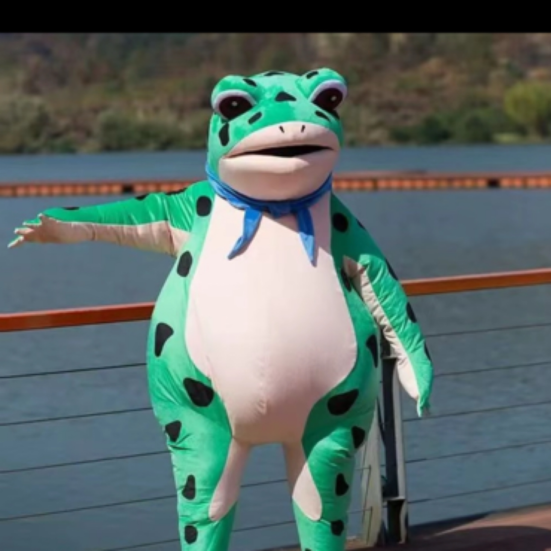 冬夏季迷彩蛙服套装（直播间同款）丛林耐磨透气户外训练男训练服