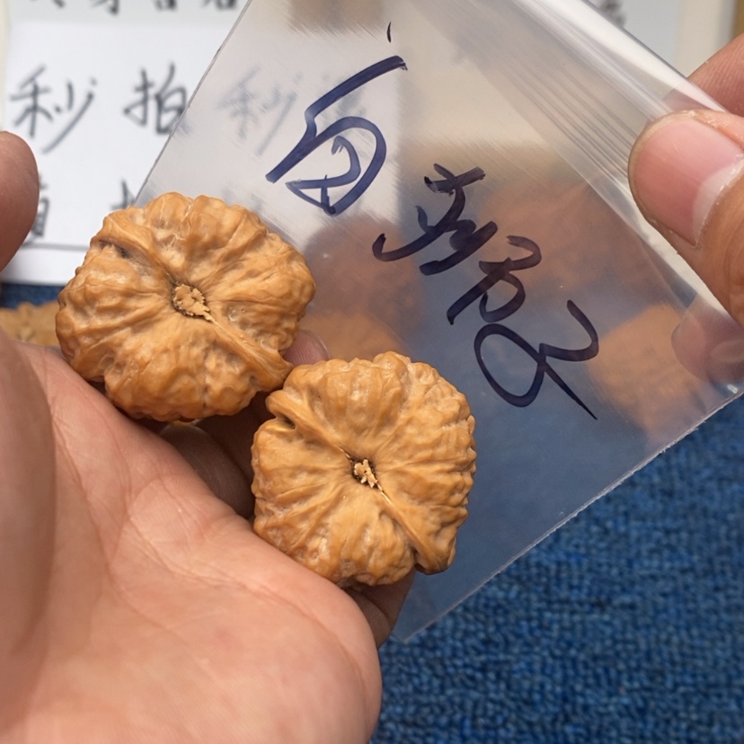 【闪购商品】文玩核桃吊坠.53357753375375