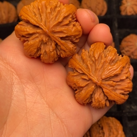 文玩核桃把件秦岭山脉核桃