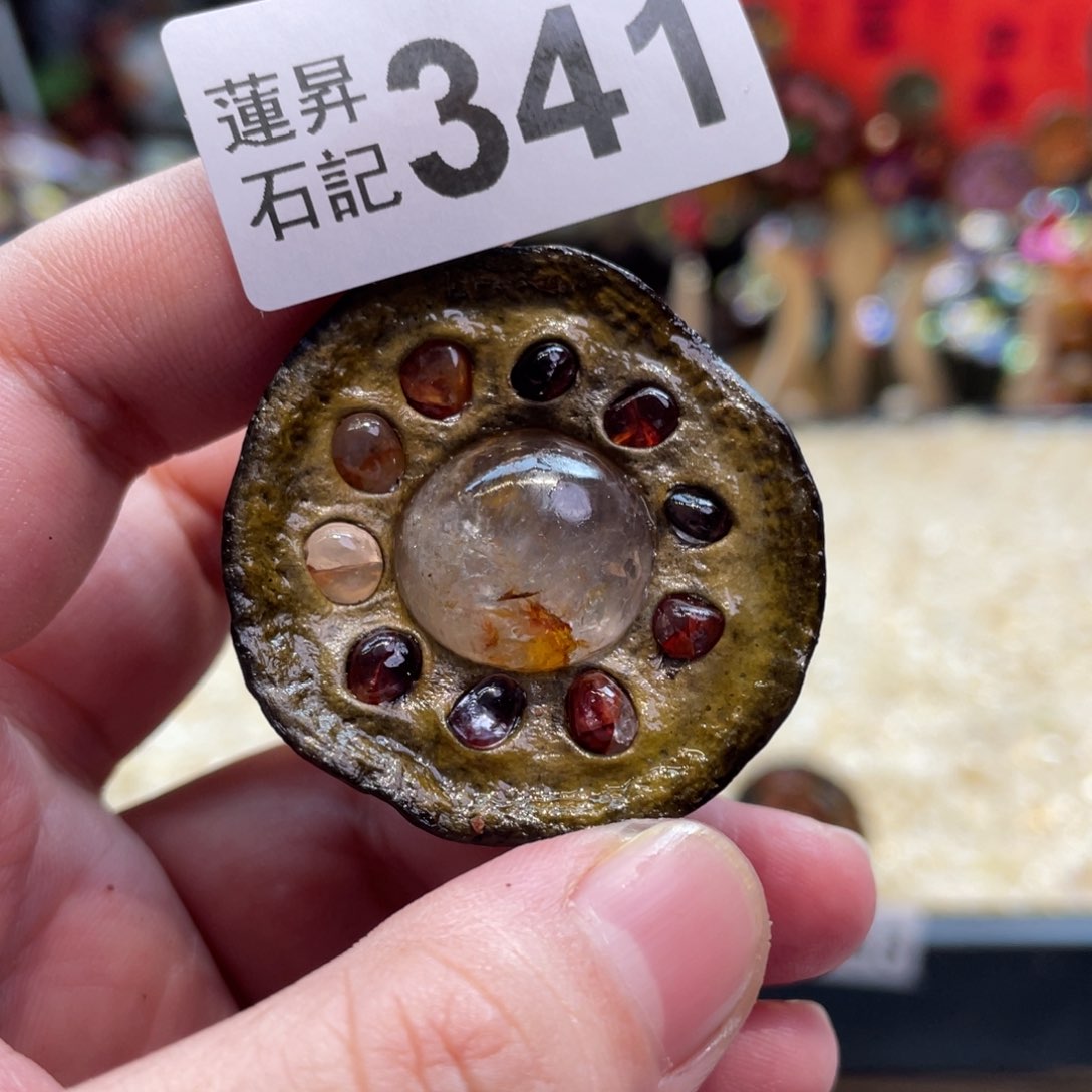 核桃木/黑胡桃（胡桃木）341
